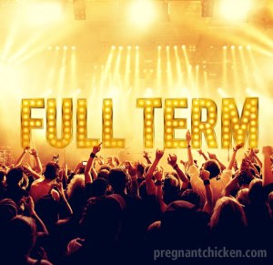 fullterm